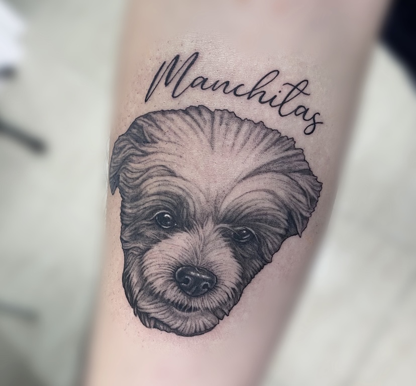 Retrato de perro - PHIL